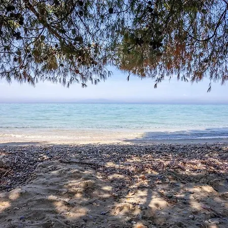 Villa Viorelis Sea View Kassandria