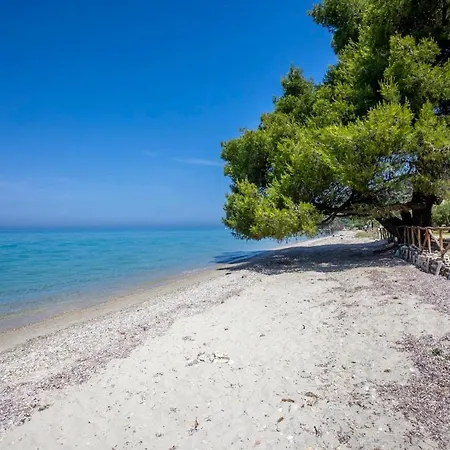 Viorelis Sea View Villa Kassandria