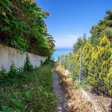Viorelis Sea View
